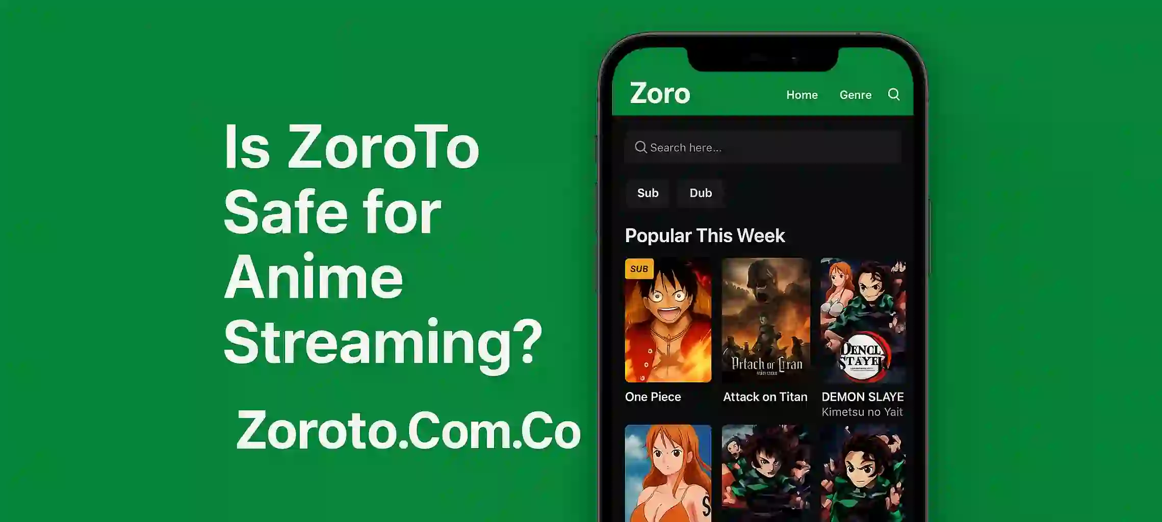 Is ZoroTo Safe for Anime Streaming (1)